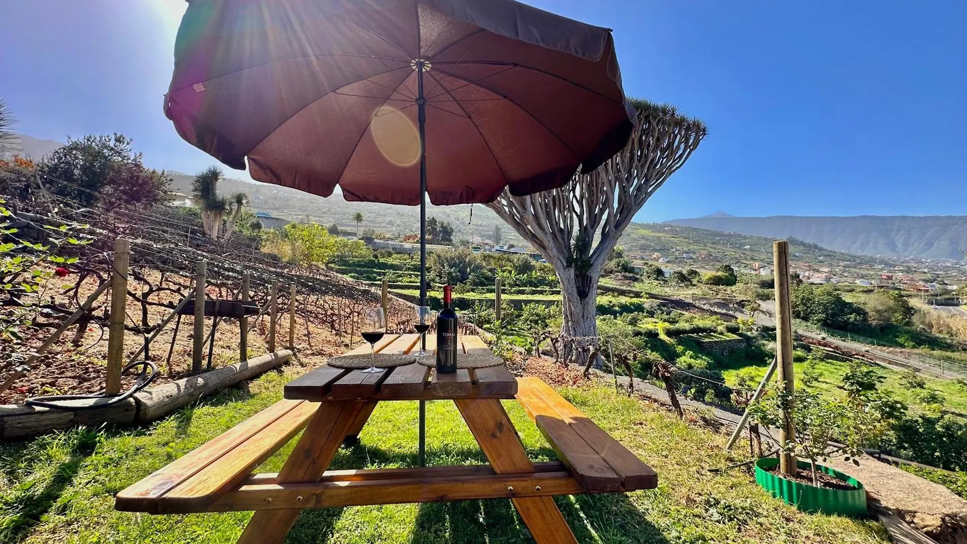 Finca Oscar Burchard La Orotava 0*,  Spain