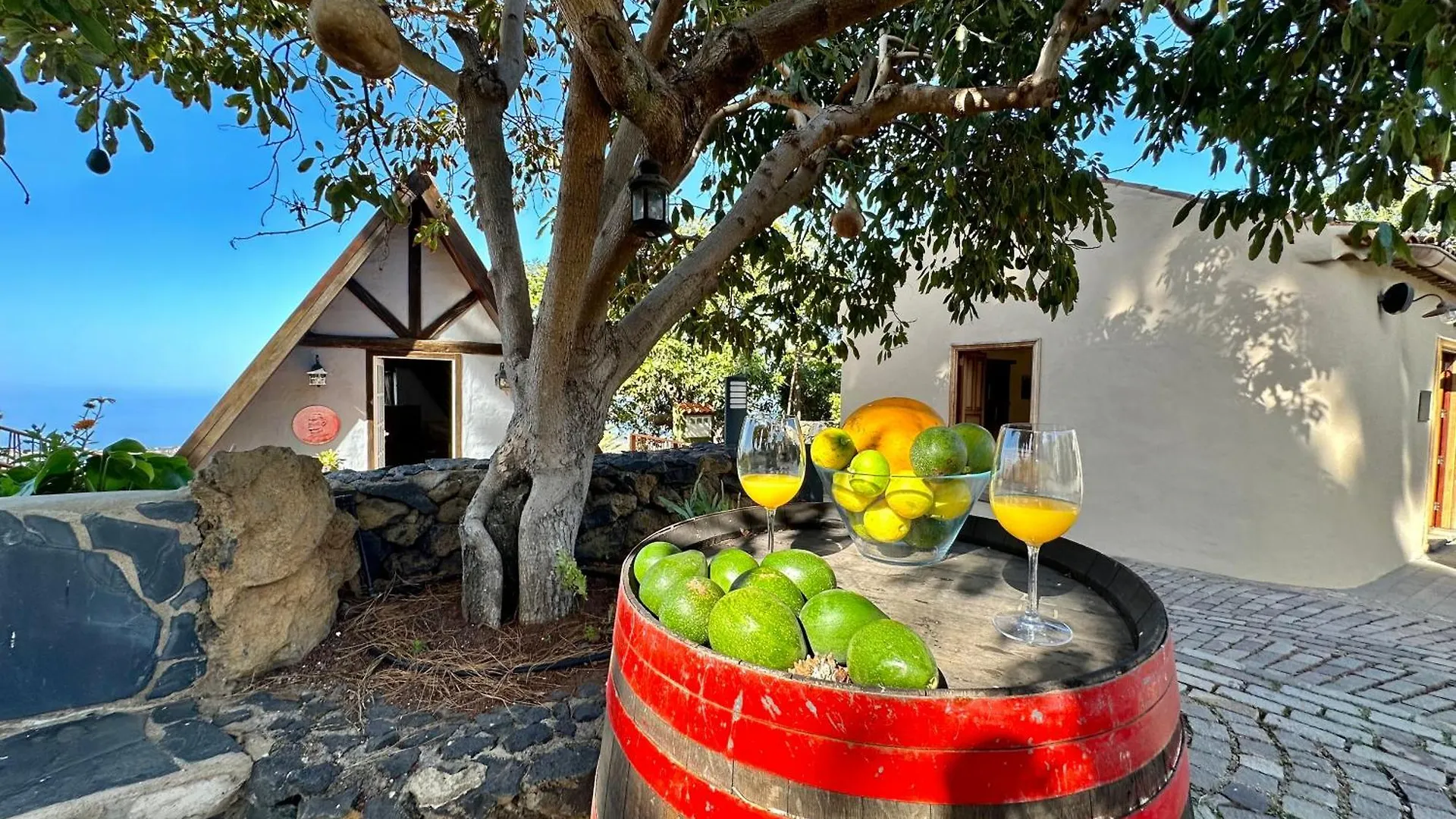 Finca Oscar Burchard La Orotava
