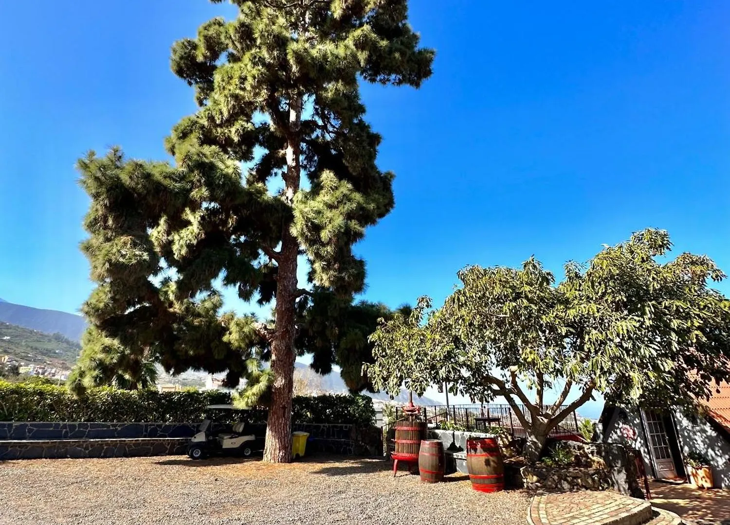 Finca Oscar Burchard La Orotava Holiday home